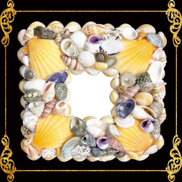 Seashell Picture Frame 8