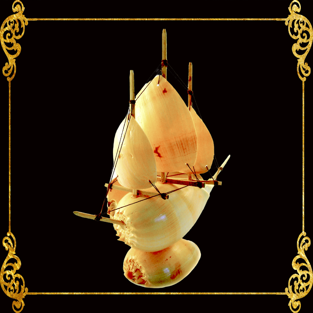 Seashell Boat | Made of Real Melo Shell