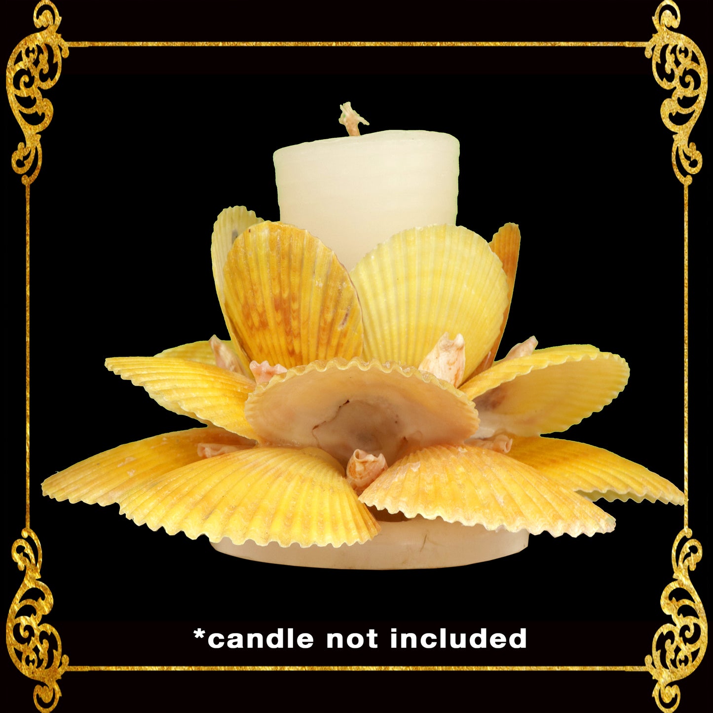 Seashell Candle Holder Made of Scallop Pecten Nobilis | Yellow