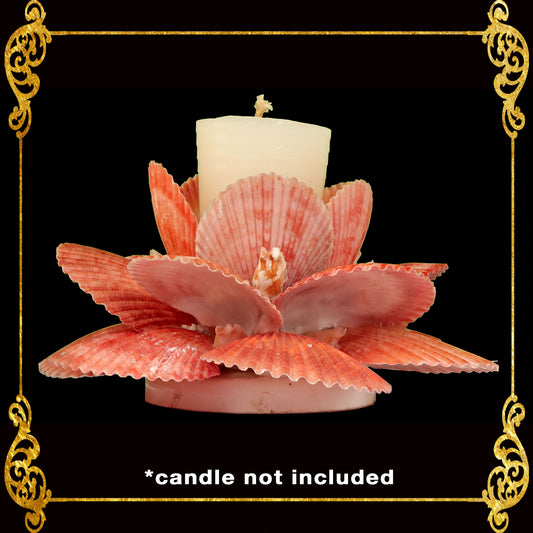 Seashell Candle Holder Made of Scallop Pecten Nobilis | Red Orange