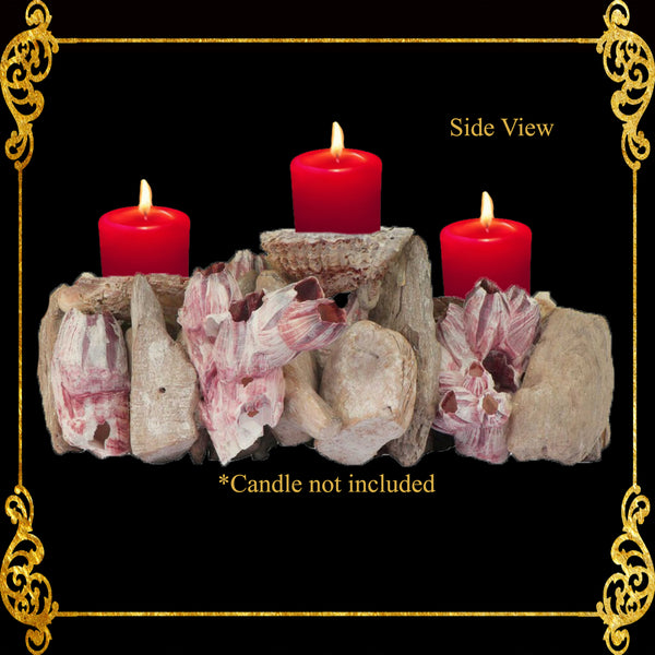 Seashell Candle Holder | Barnacle