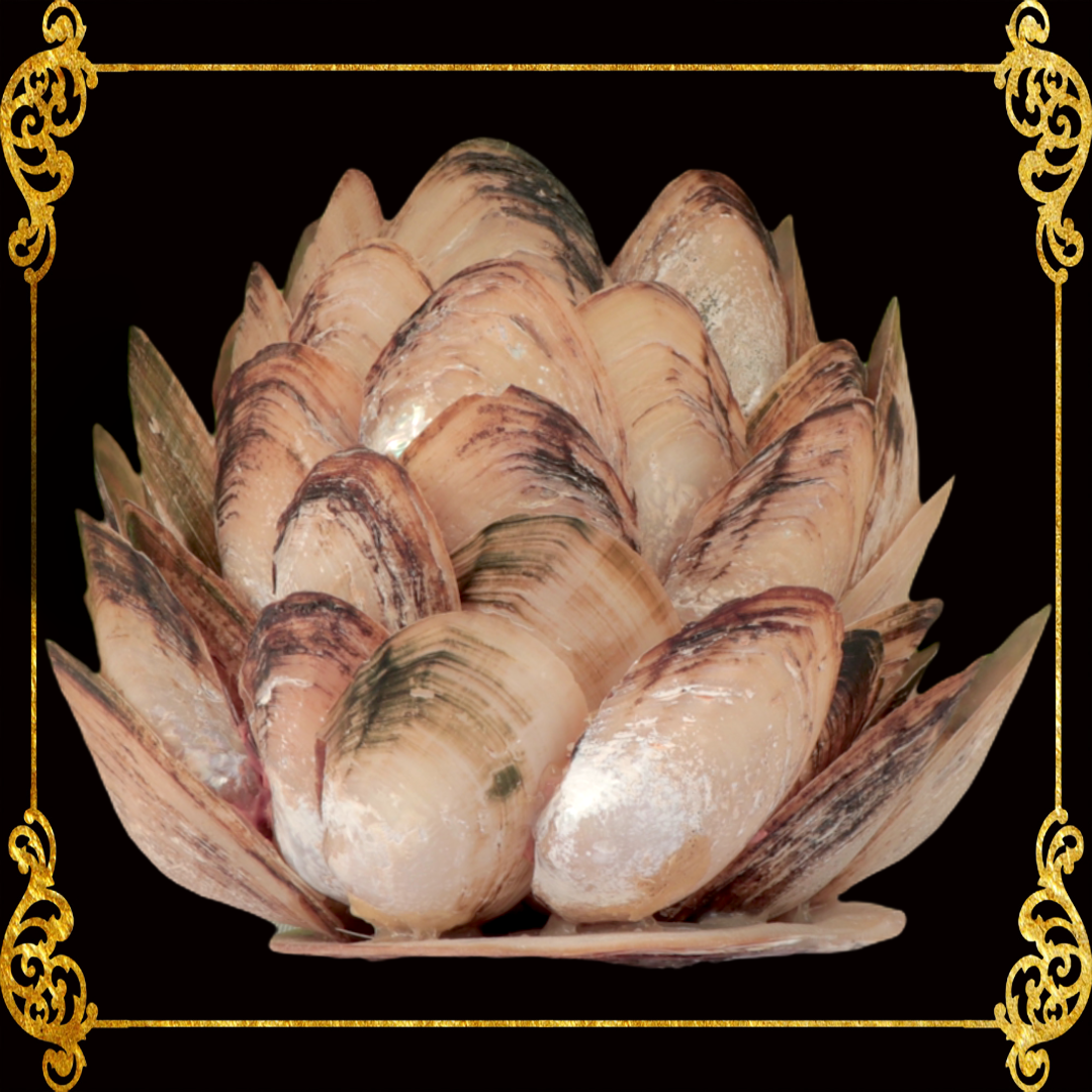 Seashell Candle Holder | Parus 1