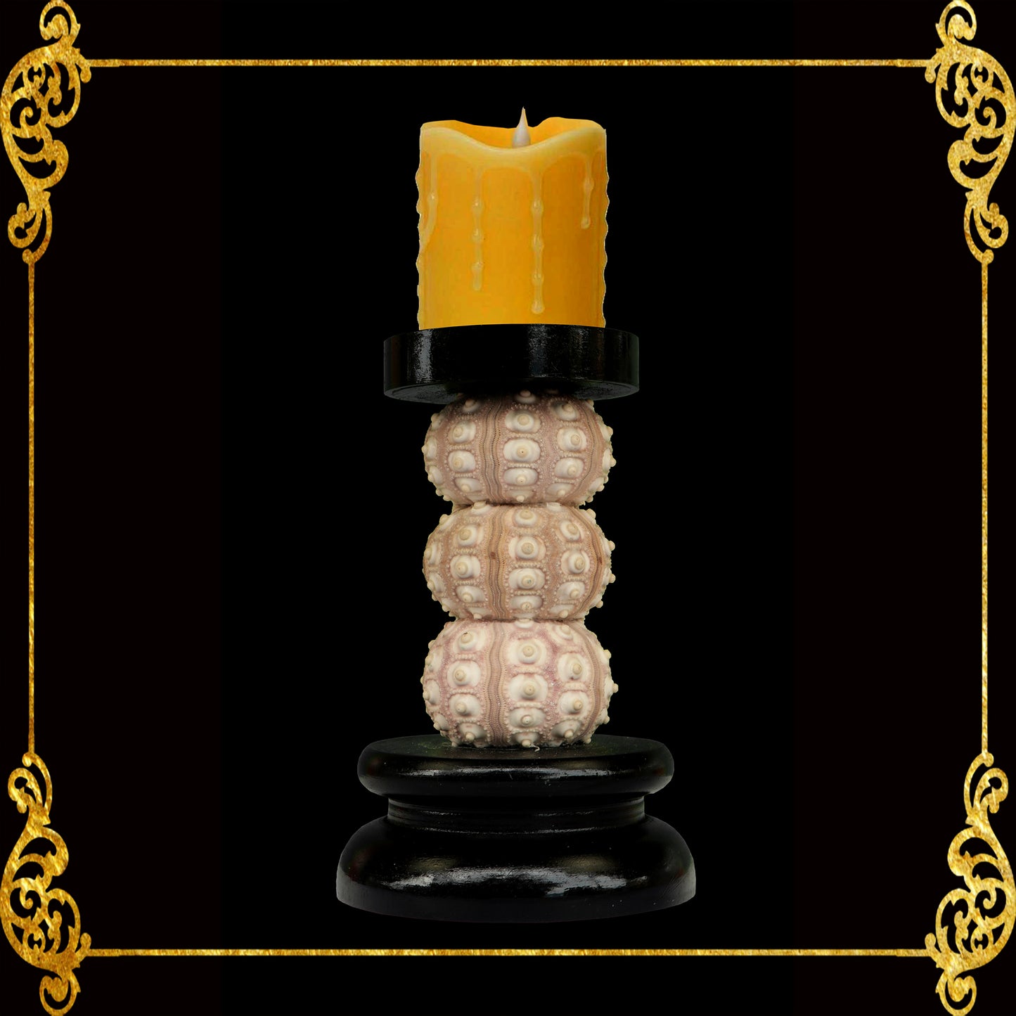 Seashell Candle Holder | Parus 3