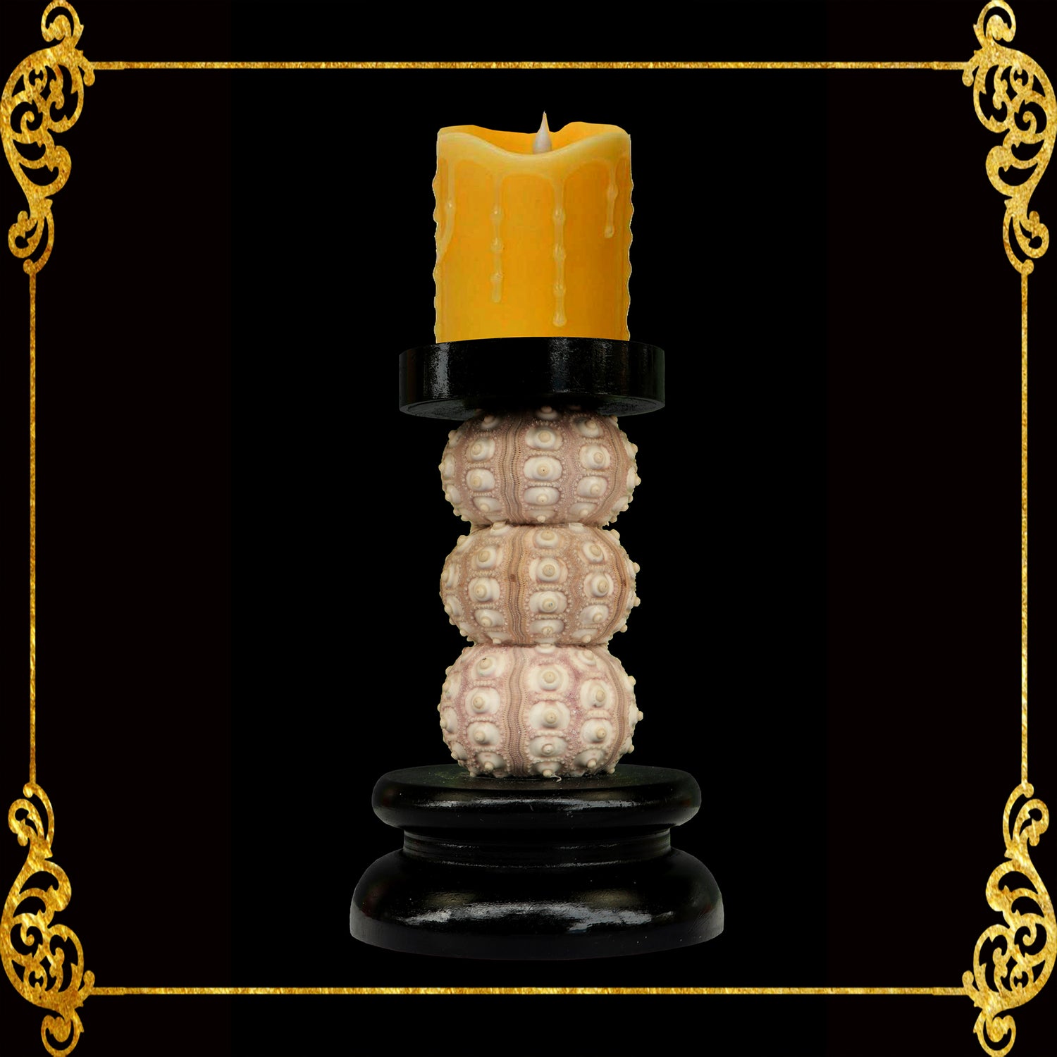 Shell Candle