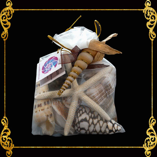 Beach Mixed Seashells in Organza Pouch Bag with Starfish | Shell Crafts | Aquarium Decor | 350 grams