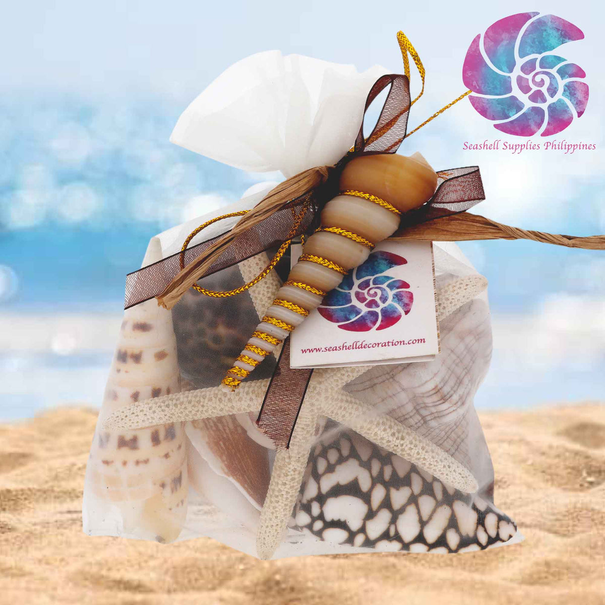 Mixed Sea Shell in Organza Bag | 125 Grams