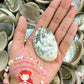 1 Kilo | Abalone | Glistening Abalone | Short | Seashells | Sea shells