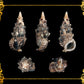 1 Kilo | Aluco | Cerithium Nodulosum | Bulutung | Seashells | Sea shells