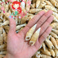 1 Kilo | Bala Bala | Aluco Vertagus | White | Seashells | Sea shells
