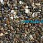1 Kilo | Batad | Common Button Top | Seashells | Sea shells