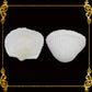 1 Kilo | Batotoy Kulot XL | Mosled Ark | Seashells | Sea shells