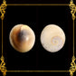 1 Kilo | Cat's Eye |Operculum | Black | Seashells | Sea shells