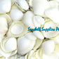 1 Kilo | Caycay | Striate Beach Clam | White | Seashells | Sea shells