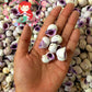 1 Kilo | Cebu Beauty | Violet Coral Shell | Seashells | Sea shells