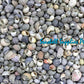 1 Kilo | Gray Mongo | Littorina | Seashells | Sea shells