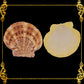 500 Grams | Macarense | King Scallop