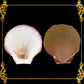 500 Grams | Moon Scallop | Asian Moon Scallop | Brown