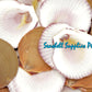500 Grams | Moon Scallop | Asian Moon Scallop | Brown