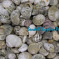 1 Kilo | Neritas | Waved Nerite | Big Round | Seashells | Sea shells