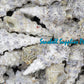 1 Kilo | Nodolussum | Giant Knobbed Cerith | Seashells | Sea shells