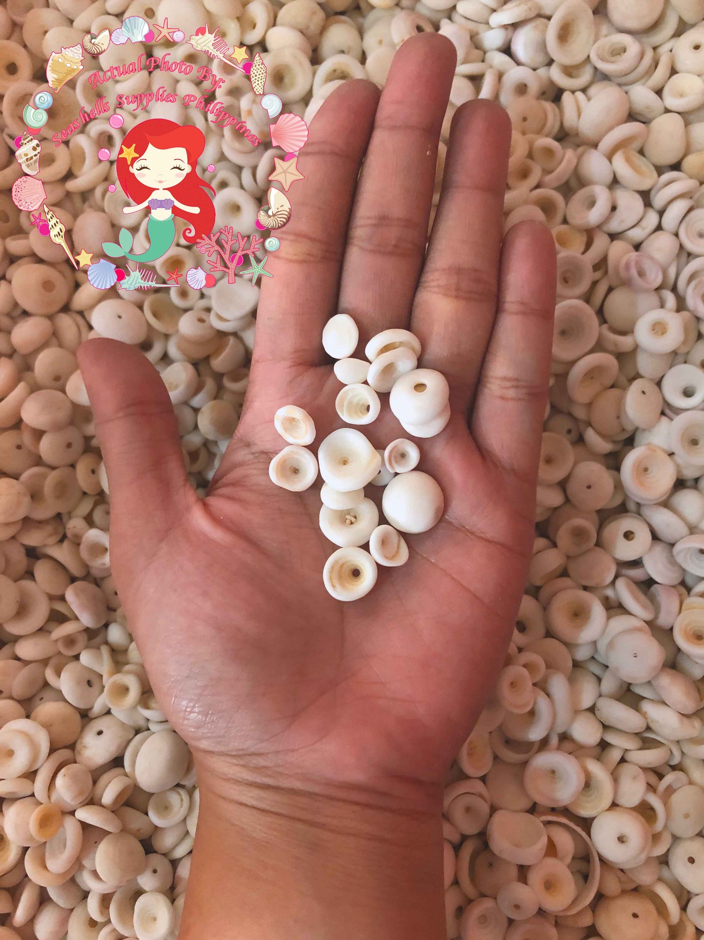 1 Kilo | Puka Shell | Small | 0.5 - 1 cm | Seashells | Sea shells