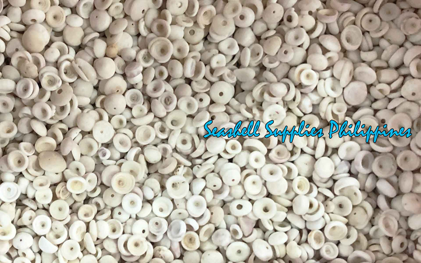 1 Kilo | Puka Shell | Small | 0.5 - 1 cm | Seashells | Sea shells