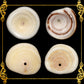 1 Kilo | Puka Shell | Medium | 1.1 - 1.4 cm | Seashells | Sea shells