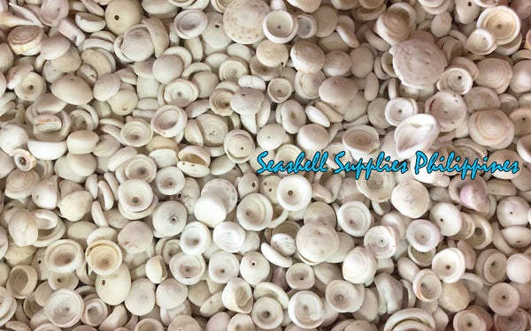 1 Kilo | Puka Shell | Medium | 1.1 - 1.4 cm | Seashells | Sea shells