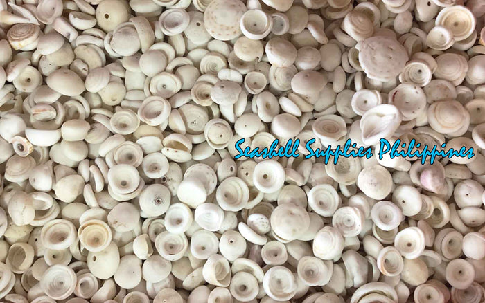 1 Kilo | Puka Shell | Medium | 1.1 - 1.4 cm | Seashells | Sea shells