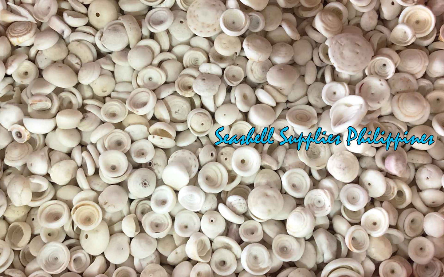 500 Grams | Puka Shell | Medium | 1.1 - 1.4 cm