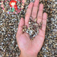 1 Kilo | Rotong | Horrid Nassa | Seashells | Sea shells