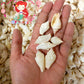 1 Kilo | Sicad | Little Bear Conch | White | Seashells | Sea shells