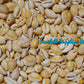 500 Grams | Sigay | Gold Ringer Cowrie | Golden