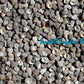 1 Kilo | Suso | Beauty Gibbula | Black Small | Seashells | Sea shells