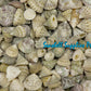 1 Kilo | Torong | Fenestrate Top | Seashells | Sea shells