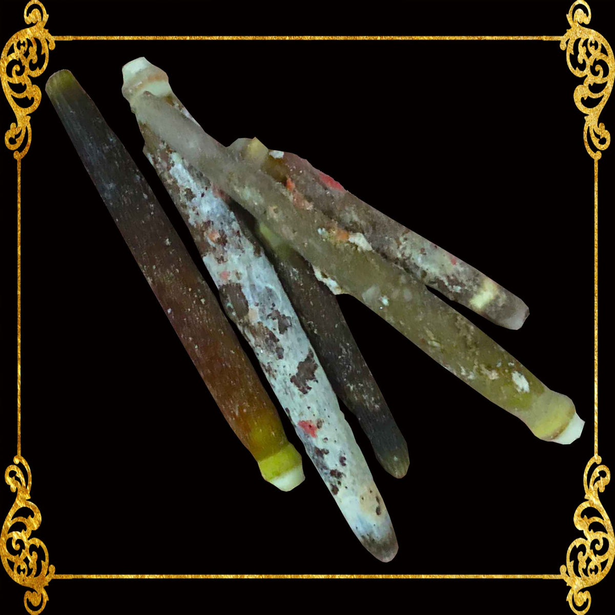 1 Kilo | Urchin Bato | Red Pencil Urchin Spine | Seashells | Sea shells