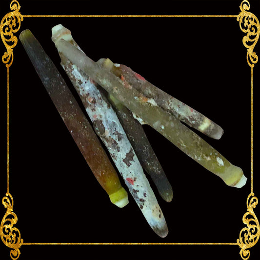 500 Grams | Urchin Bato | Red Pencil Urchin Spine