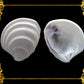 1 Kilo | Wedding Cake | Tiara Venus | Seashells | Sea shells
