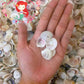1 Kilo | Wedding Cake | Tiara Venus | Seashells | Sea shells
