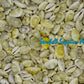 1 Kilo | Cyprea Moneta | Money Cowrie | Monetaria Moneta | Seashells | Sea shells