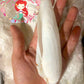Angel Wing | Cyrtopleura Costata | 3 -  4 Inches