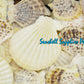 500 Grams | Pecten Radiola | Radula Scallop