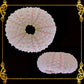 House Of Sea Urchin Tiny | Astropyga Radiata (Pink) | 1 - 3 inches