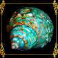 Turbo Green Burgees | Green Turbo | Turbo Mamoratus | 2 - 3 Inches