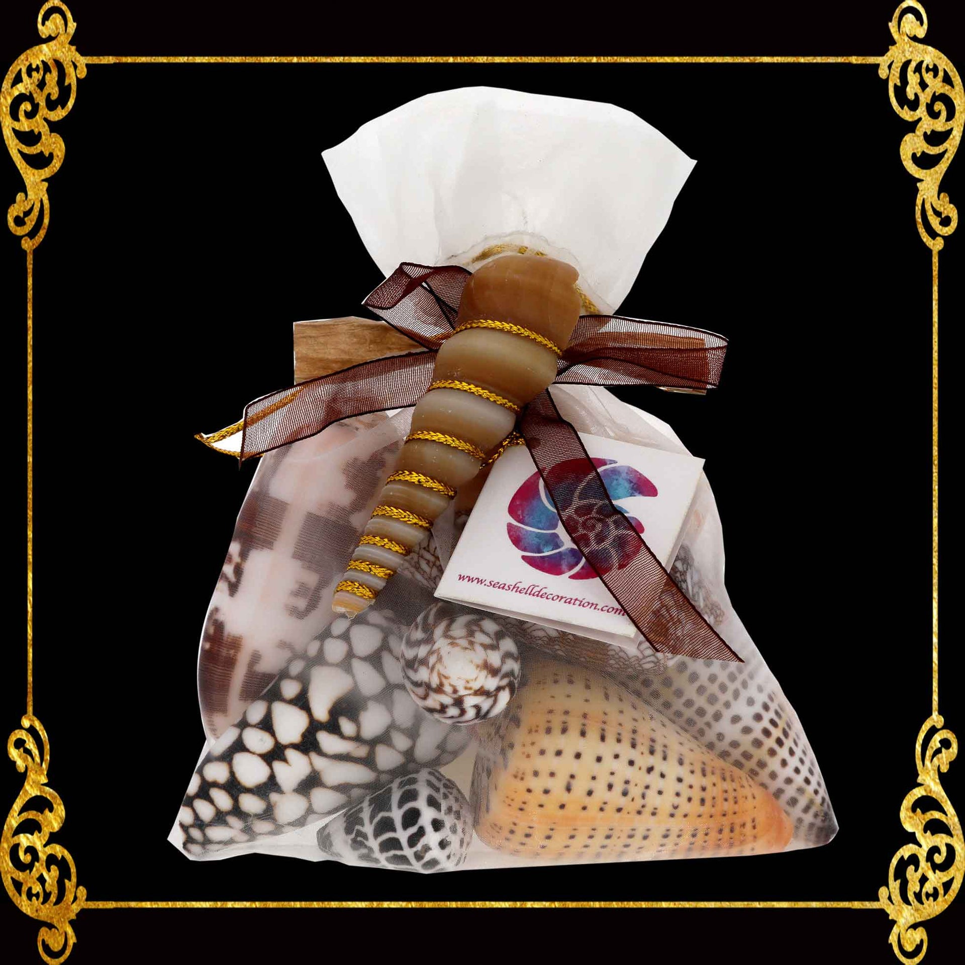 Mixed Sea Shell in Organza Bag | 350 Grams | Assorted Cones