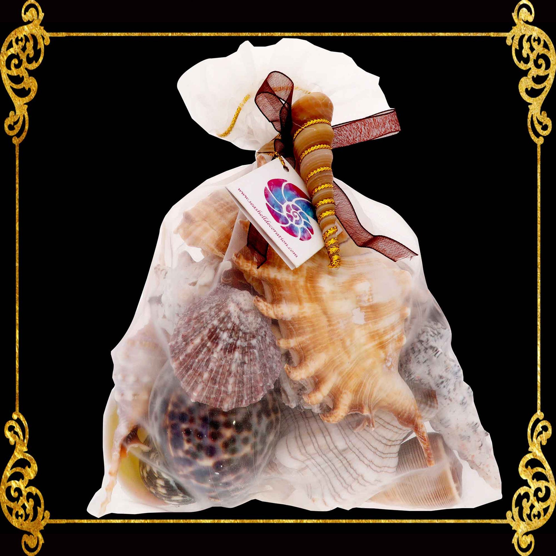 Mixed Sea Shell in Organza Bag | 600 Grams | Aquarium Pack