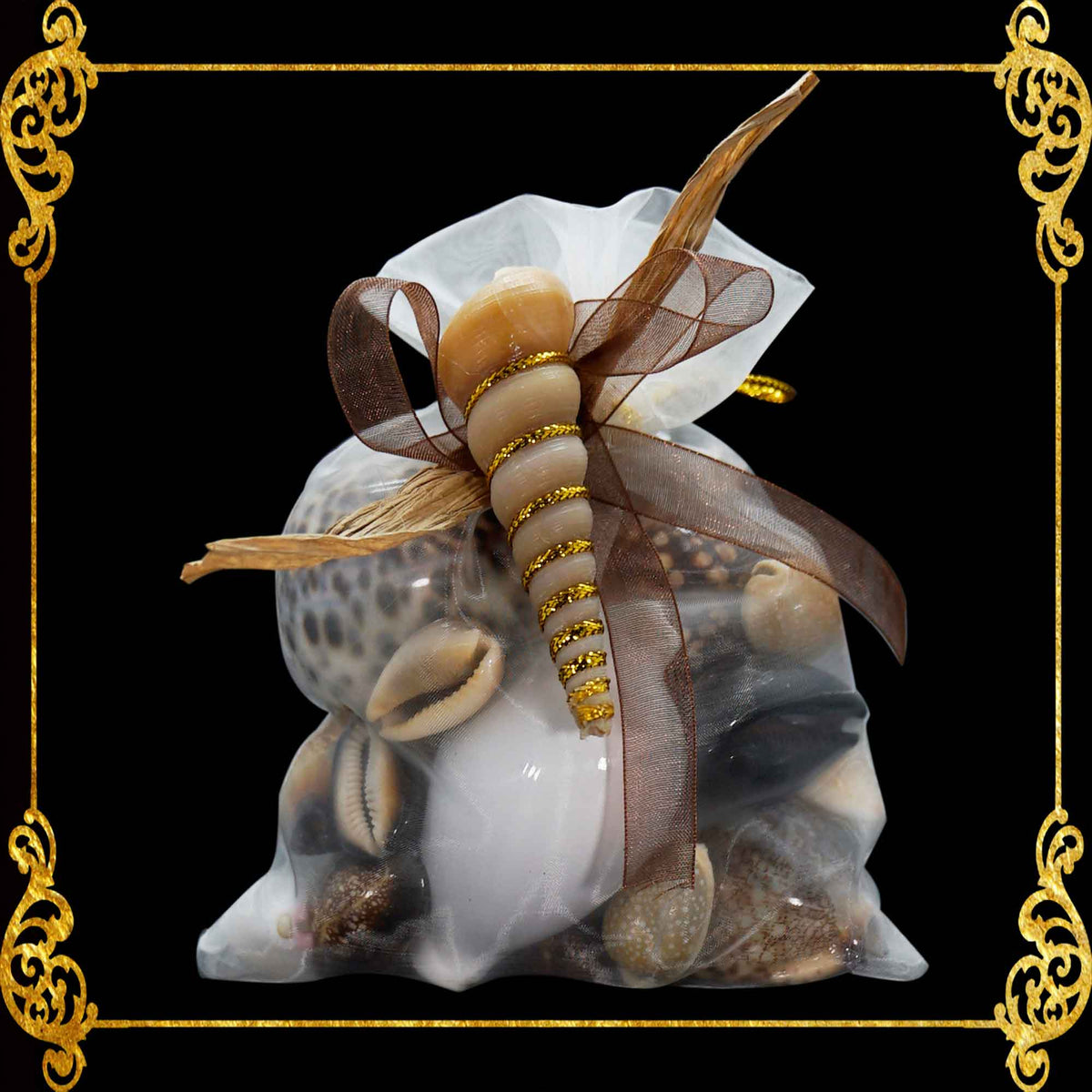 Mixed Sea Shell in Organza Bag | 350 Grams | Assorted Cowries