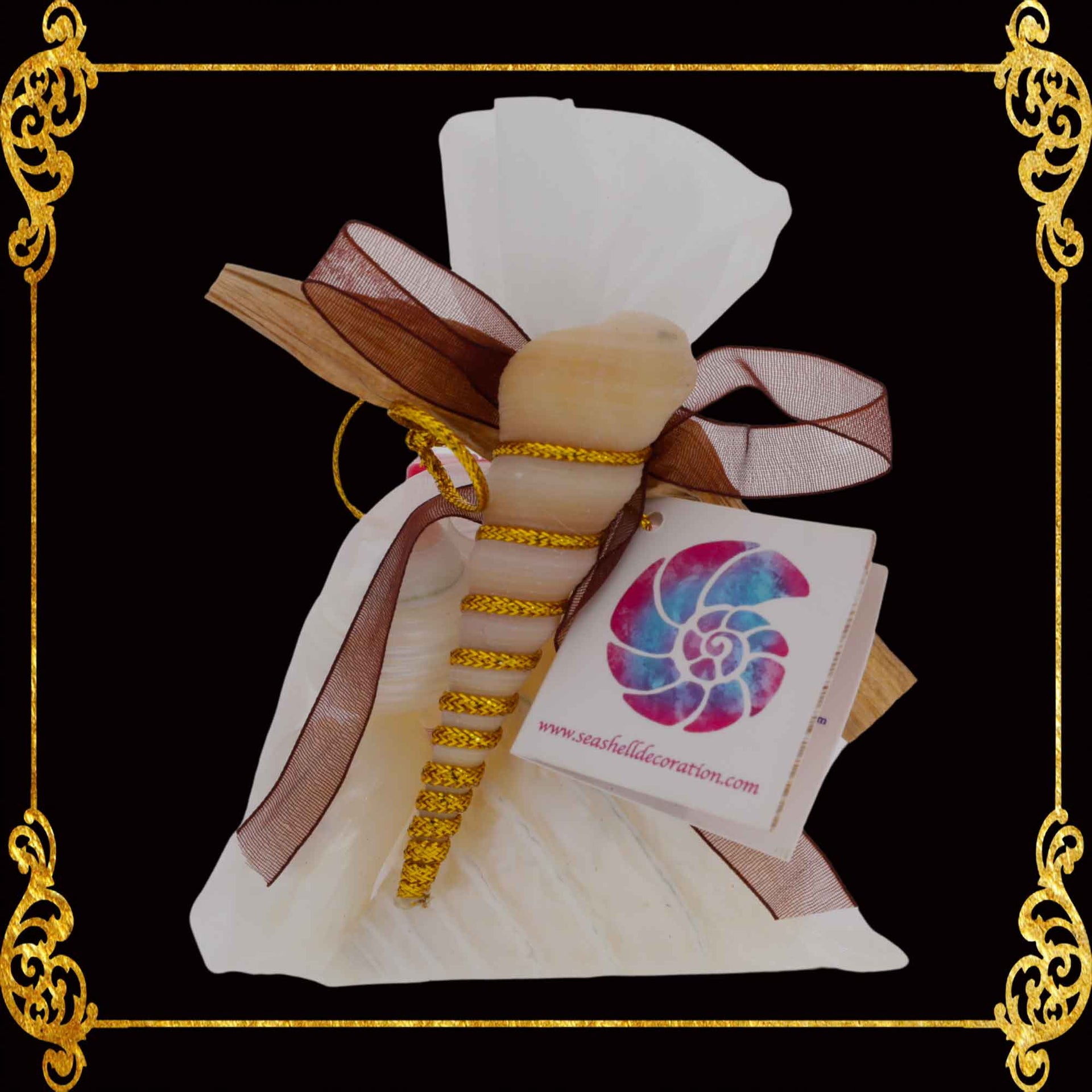 Mixed Sea Shell in Organza Bag | Pearlized Shells