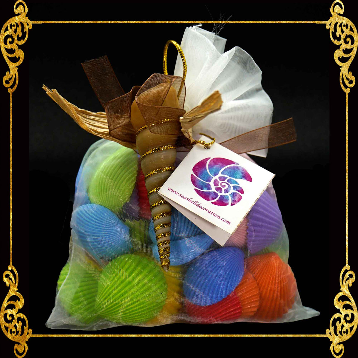 Colored Cockles Shell in Organza Bag | 250 Grams