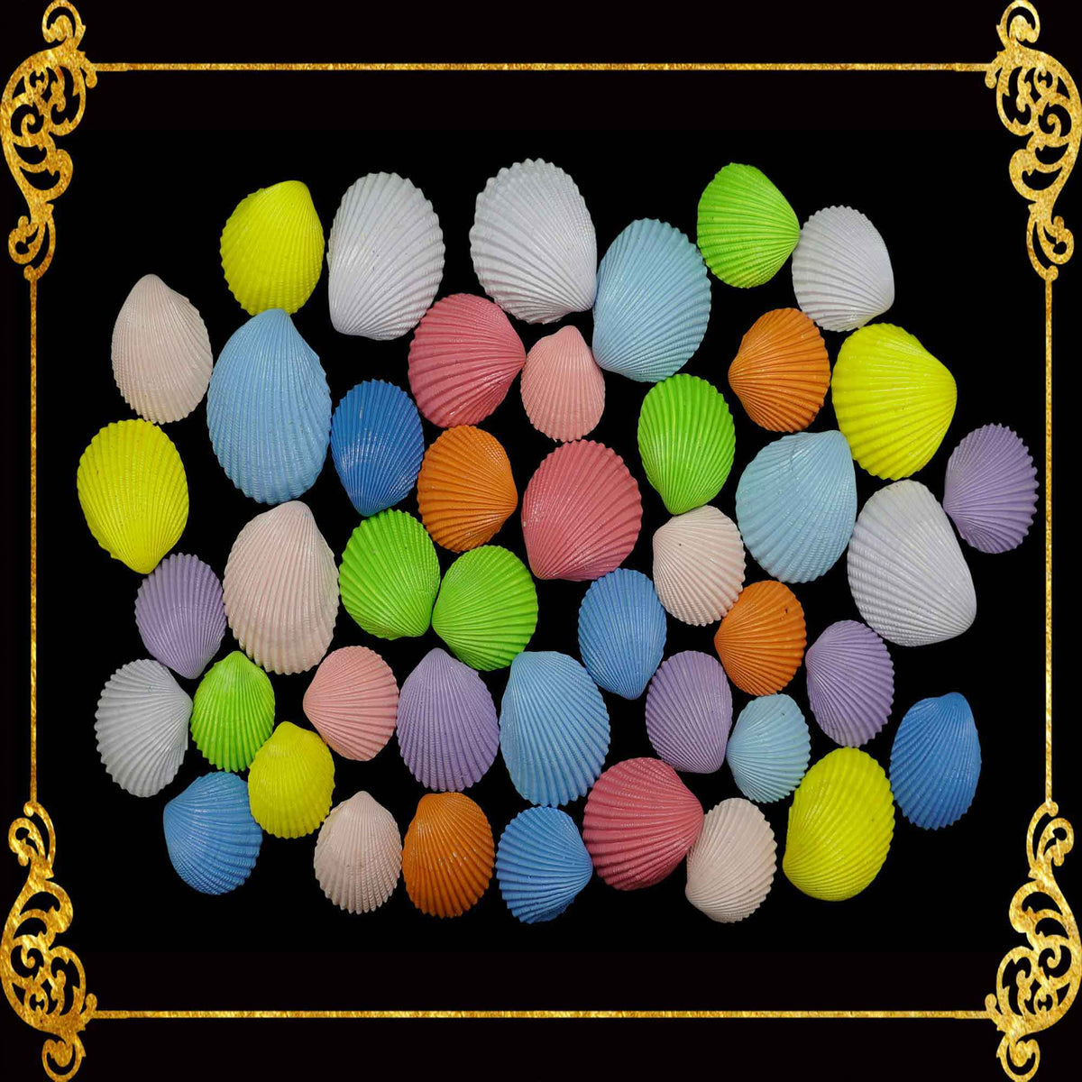 Colored Cockles Shell in Organza Bag | 250 Grams